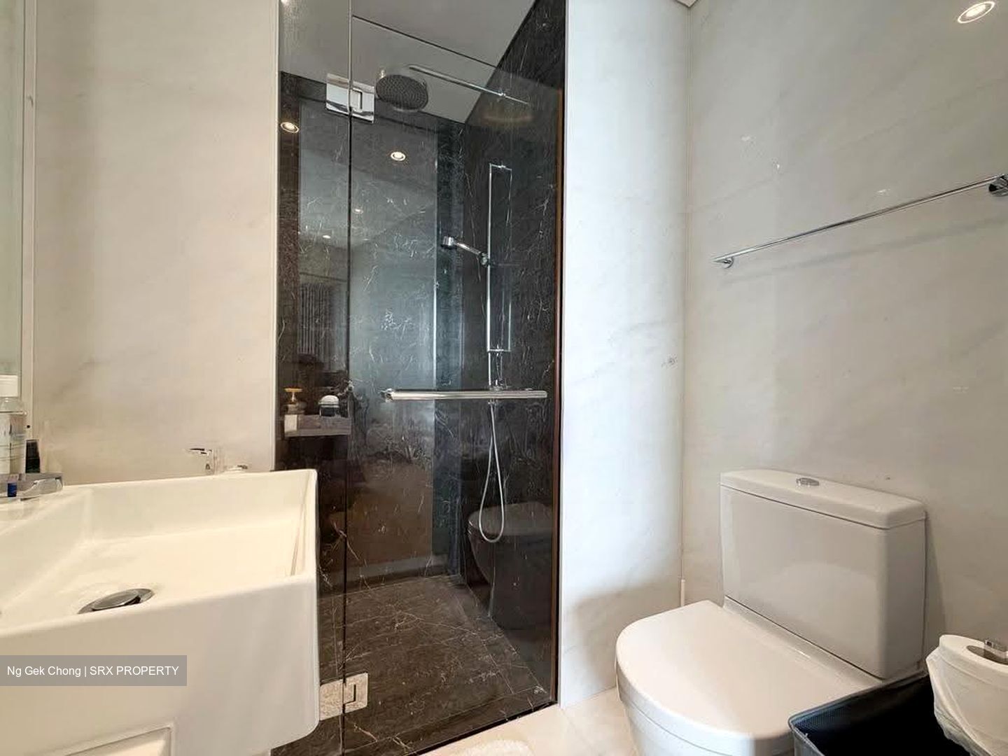 St. Regis Residences (D10), Apartment #628909381
